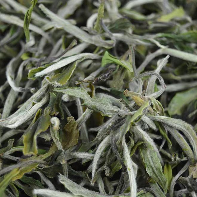 “水仙白”是一种什么茶?